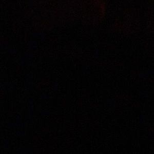 Meet your Posher, Jayna